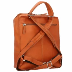 Campo Rucksack Leder 35 Cm Laptopfach -Koffer Verkäufe 2024 e152ab06583ca865fd401c52ae18b6c7 3